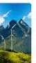 India's Green Bet
